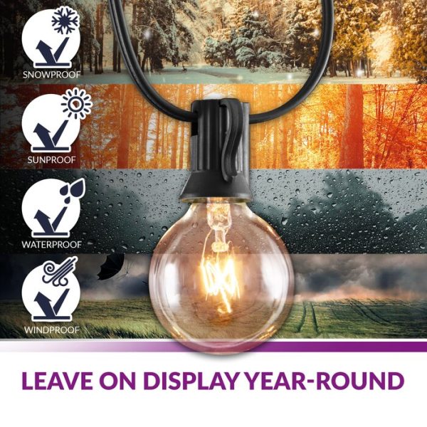 Wayfair Basics 25  Outdoor Plug-in 25 - Bulb Globe String Light (1246ND) Hot on Sale - Image 2